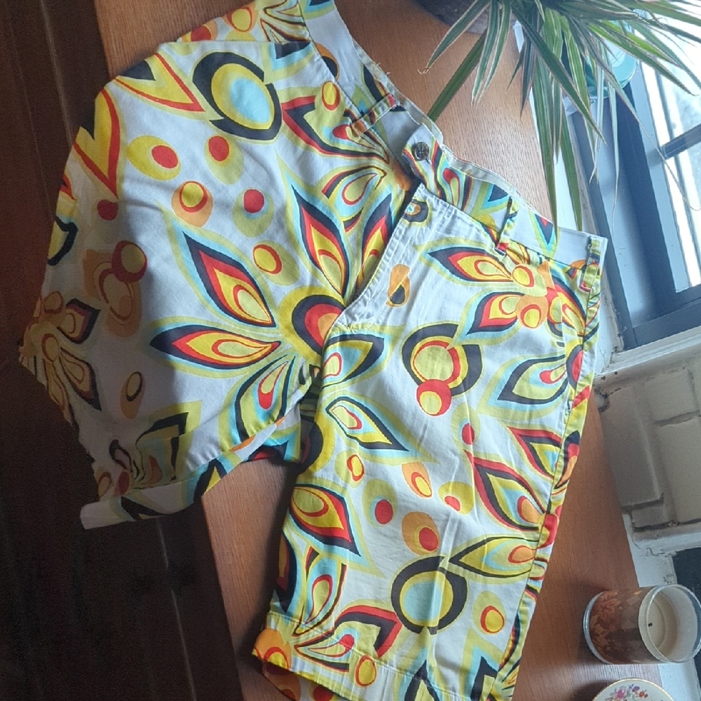 Loudmouth Multicolor Geometric Shorts